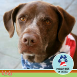 LICKS PILL FREE - Licks Pill Free Dog Multivitamin 30 Paquetes - The Red Vitamin MX - Multivitamínicos Para Perros - {{ shop.shopifyCountryName }}