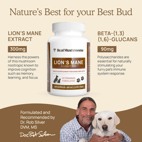 REAL MUSHROOMS - Real Mushrooms Lion’s Mane Pet Mushroom Supplement 120 Capsulas - The Red Vitamin MX - Suplementos Herbales Para Perros - {{ shop.shopifyCountryName }}