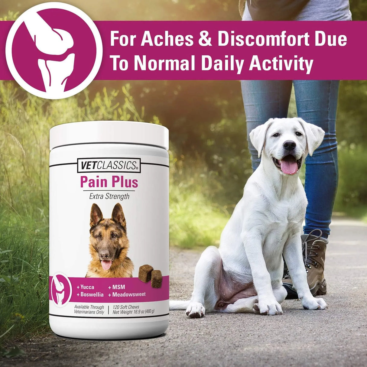 VET CLASSICS - Vet Classics Pain Plus Extra Strength Health Supplement for Dogs 120 Masticables - The Red Vitamin MX - Cuidado De Cadera Y Articulaciones Para Perros - {{ shop.shopifyCountryName }}