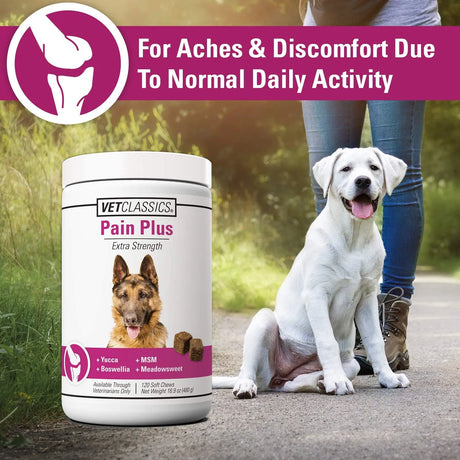 VET CLASSICS - Vet Classics Pain Plus Extra Strength Health Supplement for Dogs 120 Masticables - The Red Vitamin MX - Cuidado De Cadera Y Articulaciones Para Perros - {{ shop.shopifyCountryName }}