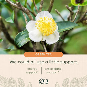 GAIA HERBS - Gaia Herbs Green Tea 60 Capsulas - The Red Vitamin MX - Suplementos Alimenticios - {{ shop.shopifyCountryName }}