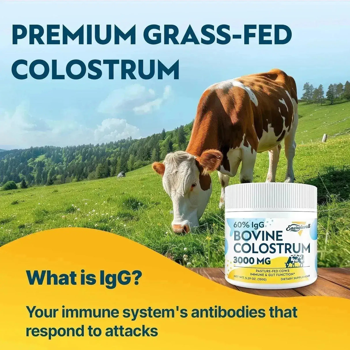 ENERGIEVOLL - Energievoll Bovine Colostrum Powder Unflavored 50 Servicios 150Gr. - The Red Vitamin MX - Suplementos Alimenticios - {{ shop.shopifyCountryName }}