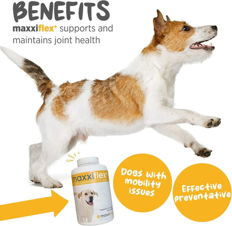 MAXXIPAWS - maxxipaws maxxiflex+ Hip & Joint Supplement for Dogs 120 Tabletas - The Red Vitamin MX - Cuidado De Cadera Y Articulaciones Para Perros - {{ shop.shopifyCountryName }}