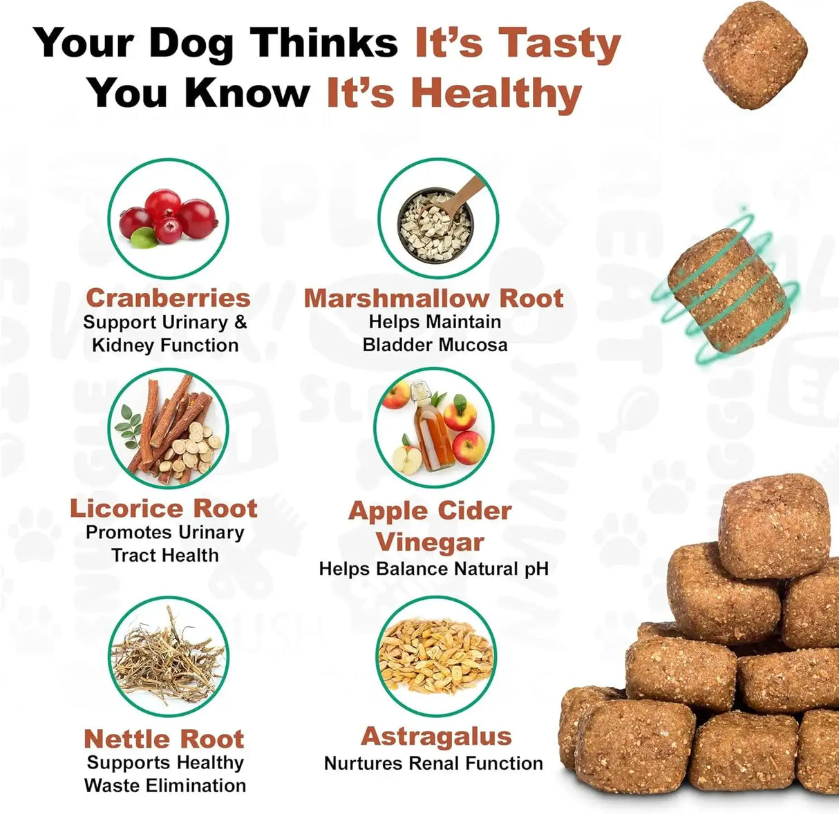 DOGGIE DAILIES - Doggie Dailies Cranberry Supplement for Dogs Bacon Flavored 225 Masticables - The Red Vitamin MX - Salud De Tracto Urinario Para Perros - {{ shop.shopifyCountryName }}