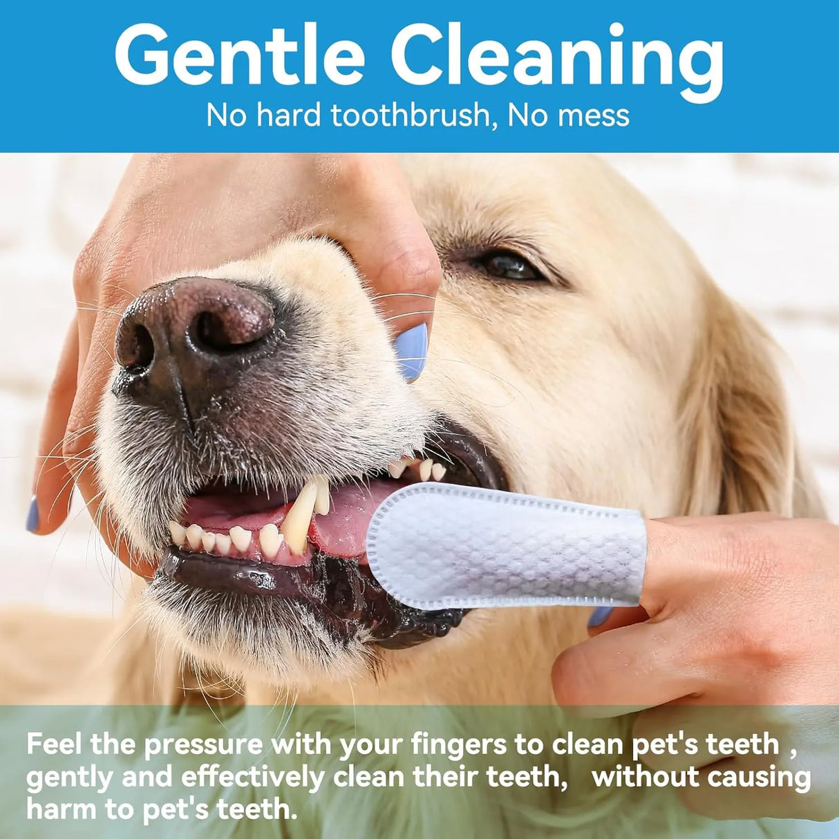 NETRUE - Netrue Dog Teeth Cleaning Wipes 60 Toallitas - The Red Vitamin MX - Cuidado Dental Para Perros - {{ shop.shopifyCountryName }}