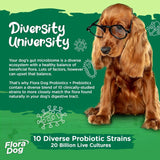 VITAL PLANET - Vital Planet Flora Dog Probiotic Powder 60 Servicios 222Gr. - The Red Vitamin MX - Probióticos Para Perros - {{ shop.shopifyCountryName }}
