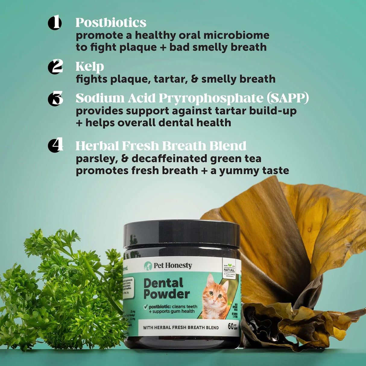 Pet Honesty Cat Breath Freshener Dental Powder 60 Servicios