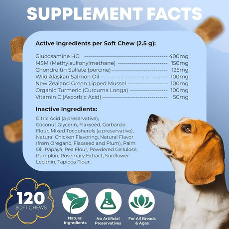 FURRY FUELS - FURRY FUELS Hip and Joint Supplement for Dogs 120 Masticables - The Red Vitamin MX - Cuidado De Cadera Y Articulaciones Para Perros - {{ shop.shopifyCountryName }}
