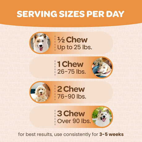 READY PET GO - Ready Pet Go! Skin and Coat Supplement for Dogs 90 Masticables - The Red Vitamin MX - Aceite De Pescado Para Perros - {{ shop.shopifyCountryName }}