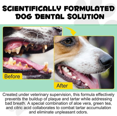 OIMMAL - OIMMAL Fresh Breath Original Dog Oral Care Water Additive 237Ml. - The Red Vitamin MX - Cuidado Dental Para Perros - {{ shop.shopifyCountryName }}