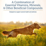 RX VITAMINS - Rx Vitamins Nutritional Support 257Gr. - The Red Vitamin MX - Multivitamínicos Para Perros - {{ shop.shopifyCountryName }}