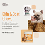 Ollie Dog Skin & Coat Supplement 60 Masticables
