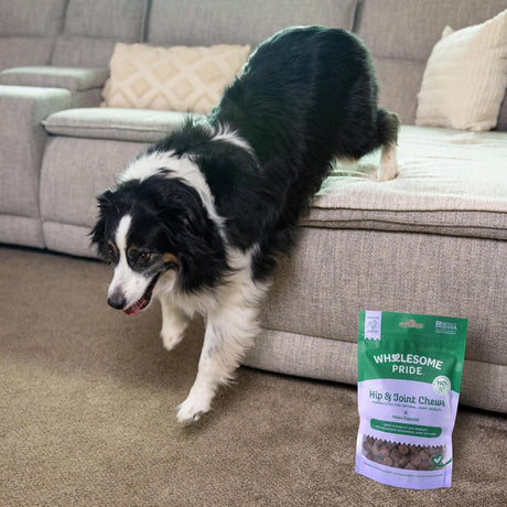 WHOLESOME PRIDE - Wholesome Pride Hip & Joint Supplement for Dogs 90 Masticables - The Red Vitamin MX - Cuidado De Cadera Y Articulaciones Para Perros - {{ shop.shopifyCountryName }}