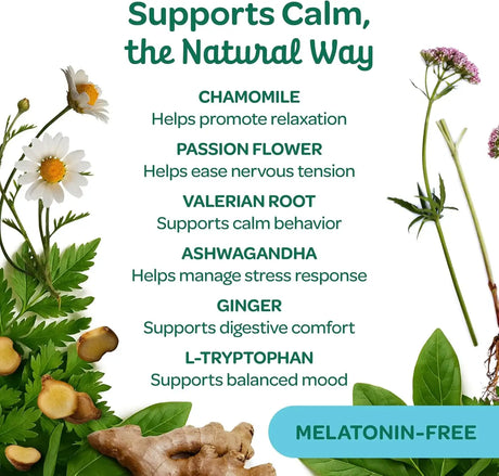 WHOLESOME PRIDE - Wholesome Pride Calming Supplement for Dogs 90 Masticables - The Red Vitamin MX - Relajantes Para Perros - {{ shop.shopifyCountryName }}