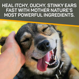 ABSORBINE - Absorbine Silver Honey Rapid Ear Care Vet Strength Ear Cleaner + Infection Treatment - The Red Vitamin MX - Cuidado Del Oído De Perros - {{ shop.shopifyCountryName }}
