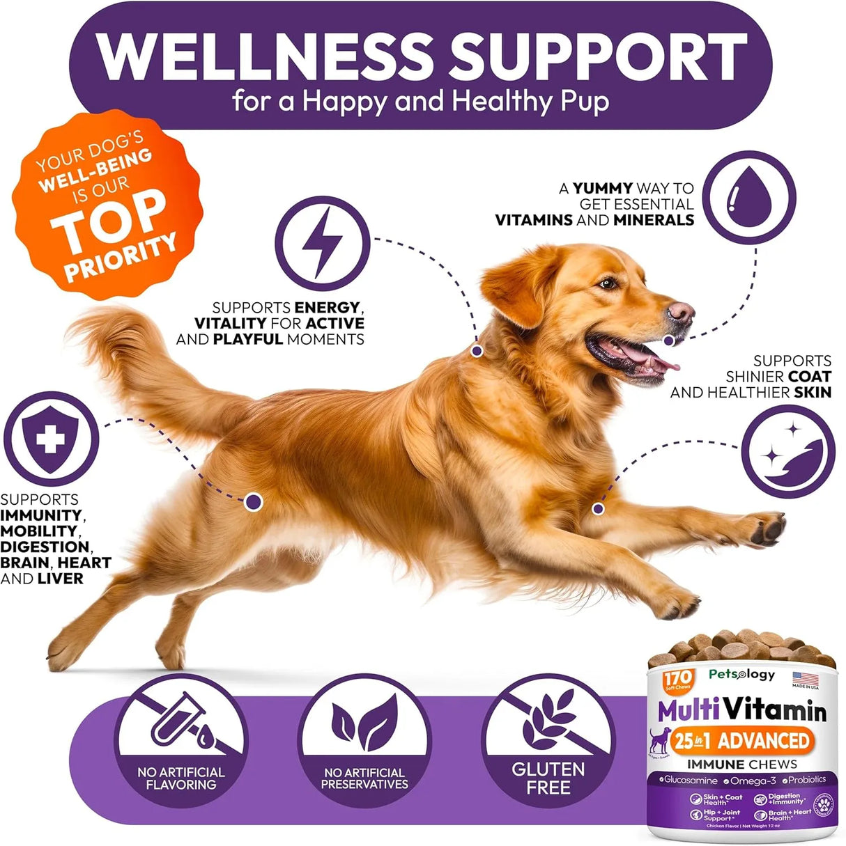PETSOLOGY - Petsology Dog Multivitamin Chewable 170 Masticables - The Red Vitamin MX - Multivitamínicos Para Perros - {{ shop.shopifyCountryName }}