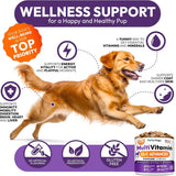 PETSOLOGY - Petsology Dog Multivitamin Chewable 170 Masticables - The Red Vitamin MX - Multivitamínicos Para Perros - {{ shop.shopifyCountryName }}