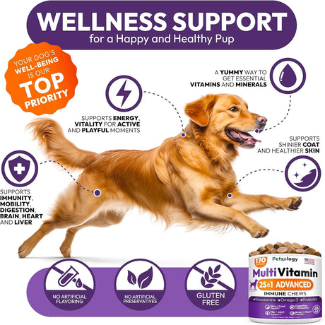 PETSOLOGY - Petsology Dog Multivitamin Chewable 170 Masticables - The Red Vitamin MX - Multivitamínicos Para Perros - {{ shop.shopifyCountryName }}