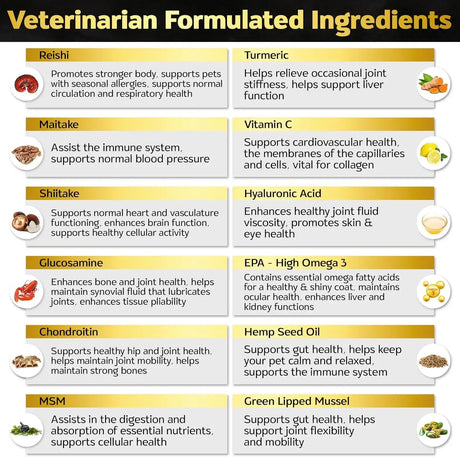 LIFE4LEGS - Life4Legs Soft Chews Hip and Joint Supplement for Dogs Duck Flavor 90 Masticables - The Red Vitamin MX - Cuidado De Cadera Y Articulaciones Para Perros - {{ shop.shopifyCountryName }}