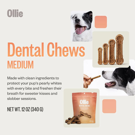 OLLIE - Ollie Dental Chews for Medium Dogs for Pups 26-50 lbs 14 Piezas - The Red Vitamin MX - Cuidado Dental Para Perros - {{ shop.shopifyCountryName }}