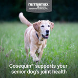 Nutramax Cosequin Senior Joint Health Supplement for Senior Dogs 60 Masticables