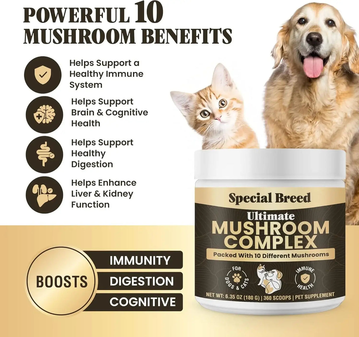 SPECIAL BREED - Special Breed Mushroom Powder for Dogs & Cats 360 Servicios 180Gr. - The Red Vitamin MX - Suplementos Herbales Para Perros - {{ shop.shopifyCountryName }}