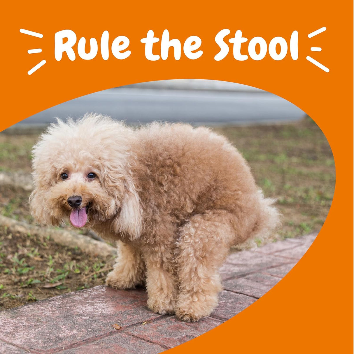 Zesty Paws Solid Poop Support Bites 90 Masticables