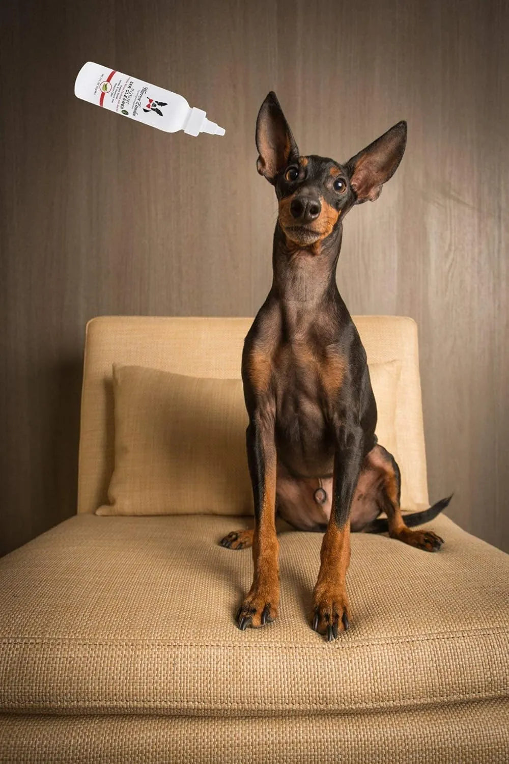WARREN LONDON - Warren London Instant Ear Cleaner for Cat & Dog 4 Fl.Oz. - The Red Vitamin MX - Cuidado Del Oído De Perros - {{ shop.shopifyCountryName }}