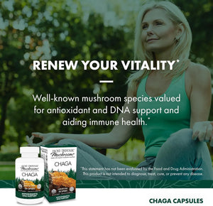 HOST DEFENSE - Host Defense Chaga 120 Capsulas - The Red Vitamin MX - Suplementos Alimenticios - {{ shop.shopifyCountryName }}