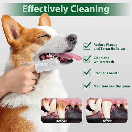 LANBEIDE - LANBEIDE Pet Teeth Cleaning Wipes for Dogs & Cats 60 Toallitas 2 Pack - The Red Vitamin MX - Cuidado Dental Para Perros - {{ shop.shopifyCountryName }}