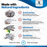 PLANOPAWS - Planopaws Omega 3 Fish Oil for Dogs 16 Fl.Oz. - The Red Vitamin MX - Aceite De Pescado Para Perros - {{ shop.shopifyCountryName }}