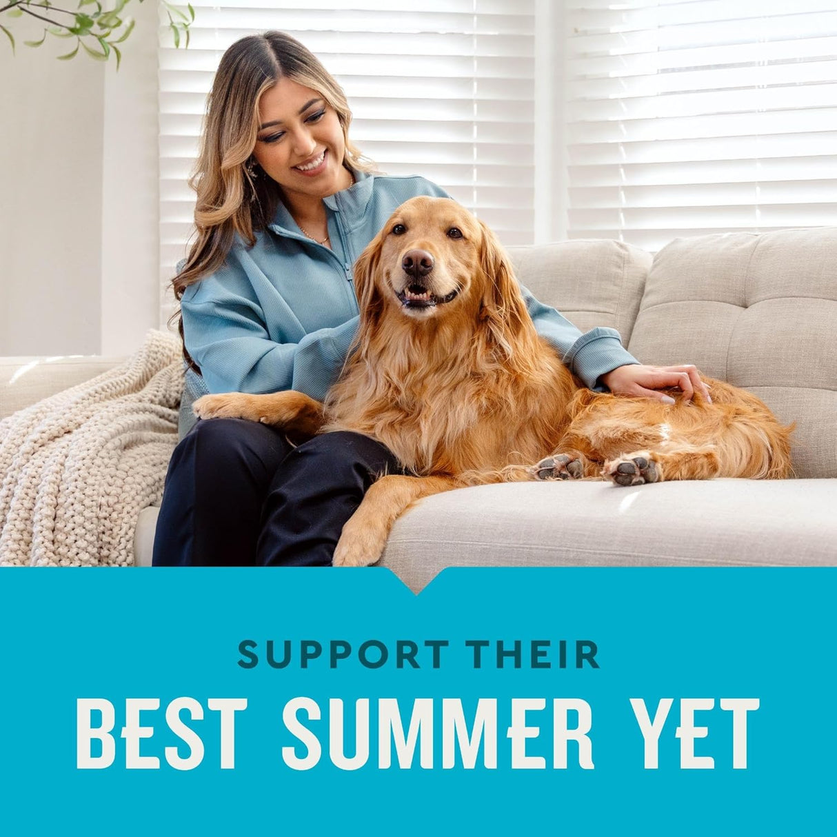 VetIQ Skin and Coat Supplement for Dogs 60 Masticables
