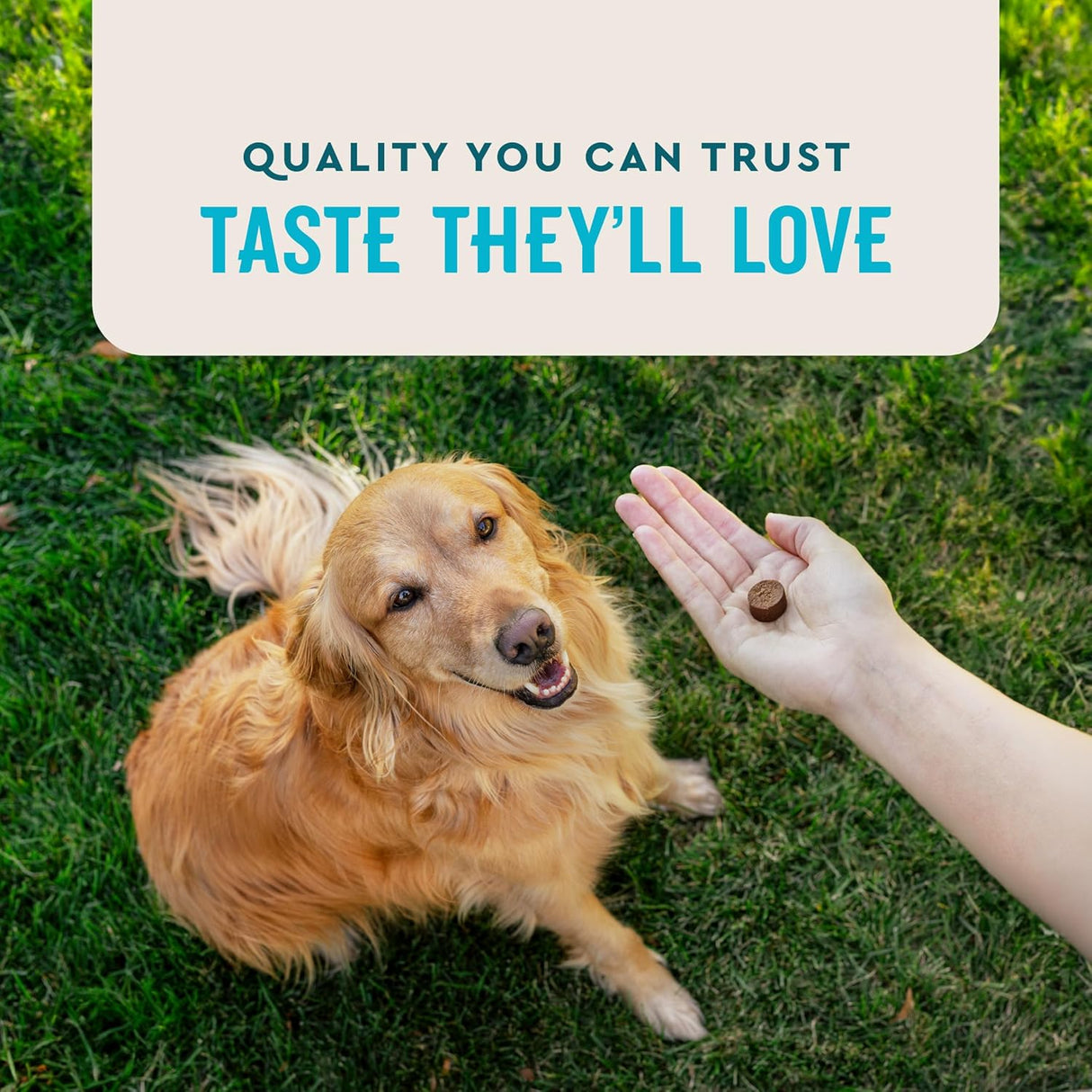 VetIQ Glucosamine Hip & Joint Supplement for Dogs 60 Masticables