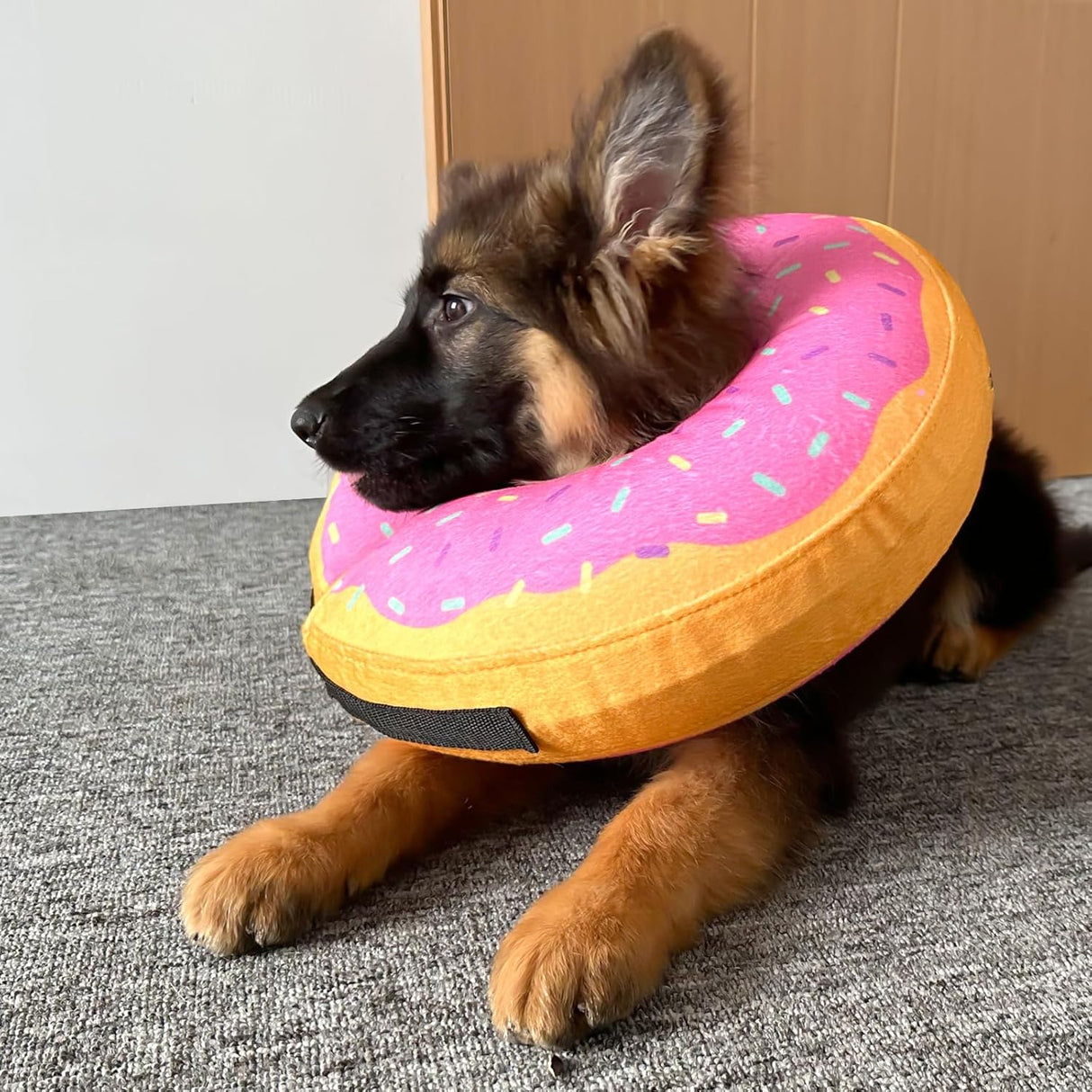 Katoggy Inflatable Dog Collar YELLOW PINK SMALL