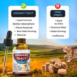ELEMENTAL ELITE - Elemental Elite Urinary Tract Health Treatment for Dogs & Cats 1 Fl.Oz. - The Red Vitamin MX - Salud De Tracto Urinario Para Perros - {{ shop.shopifyCountryName }}