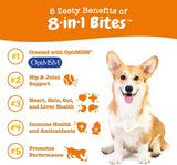 ZESTY PAWS - Zesty Paws Multivitamin Treats for Dogs Chicken Flavor 250 Masticables - The Red Vitamin MX - Cuidado De Los Ojos De Los Perros - {{ shop.shopifyCountryName }}