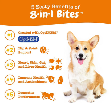ZESTY PAWS - Zesty Paws Multivitamin Treats for Dogs Chicken Flavor 250 Masticables - The Red Vitamin MX - Cuidado De Los Ojos De Los Perros - {{ shop.shopifyCountryName }}