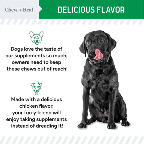 CHEW + HEAL - Chew + Heal Labs Dog Urine Neutralizer for Lawn 120 Masticables - The Red Vitamin MX - Salud De Tracto Urinario Para Perros - {{ shop.shopifyCountryName }}