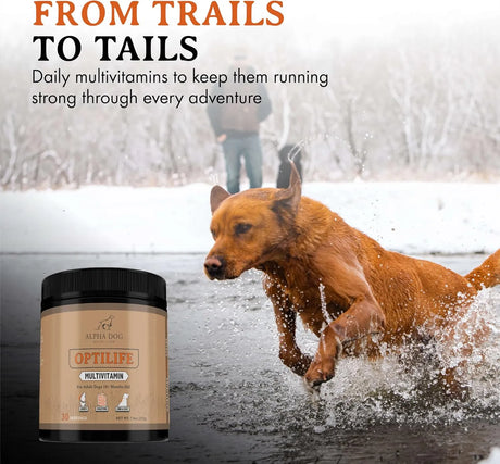 ALPHA DOG NUTRITION - Alpha Dog Nutrition OptiLife Dog Multivitamin Powder 60 Servicios 444Gr. - The Red Vitamin MX - Multivitamínicos Para Perros - {{ shop.shopifyCountryName }}