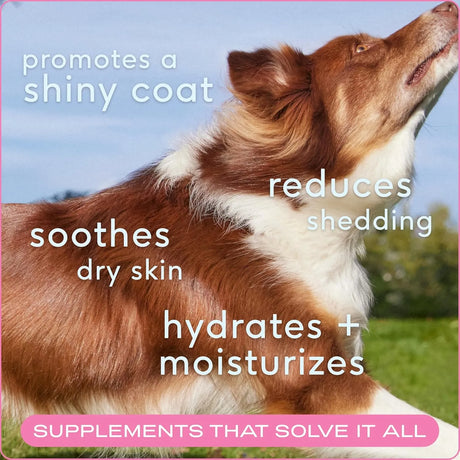 NATIVE PET - Native Pet Omega Skin and Coat Chews for Dogs 60 Masticables - The Red Vitamin MX - Aceite De Pescado Para Perros - {{ shop.shopifyCountryName }}