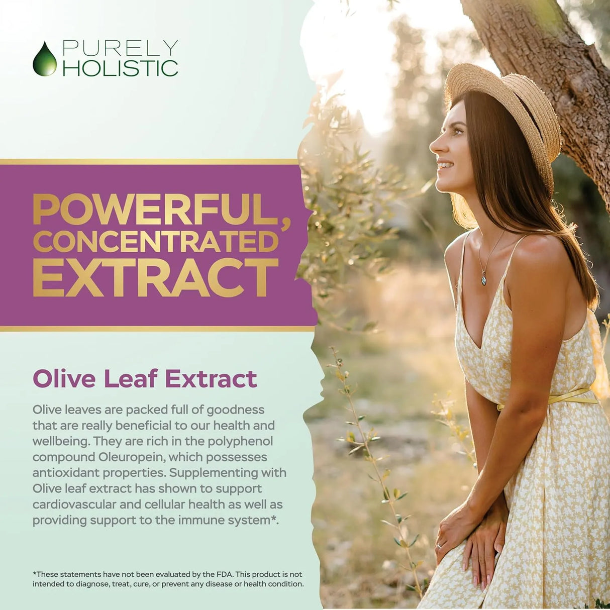 PURELY HOLISTIC - Purely Holistic Olive Leaf Extract 750Mg. 120 Capsulas - The Red Vitamin MX - Suplementos Alimenticios - {{ shop.shopifyCountryName }}