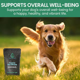 HOLISTIC BIN - HOLISTIC BIN Canine Gut Biome Powder 50Gr. - The Red Vitamin MX - Probióticos Para Perros - {{ shop.shopifyCountryName }}