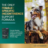 VETRISCIENCE - VETRISCIENCE Bladder Health Chews Chicken 60 Masticables - The Red Vitamin MX - Salud De Tracto Urinario Para Perros - {{ shop.shopifyCountryName }}