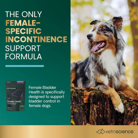 VETRISCIENCE - VETRISCIENCE Bladder Health Chews Chicken 60 Masticables - The Red Vitamin MX - Salud De Tracto Urinario Para Perros - {{ shop.shopifyCountryName }}