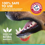 ARM & HAMMER - Arm & Hammer for Pets Fresh Breath Dental Spray for Dogs 118Ml. - The Red Vitamin MX - Cuidado Dental Para Perros - {{ shop.shopifyCountryName }}