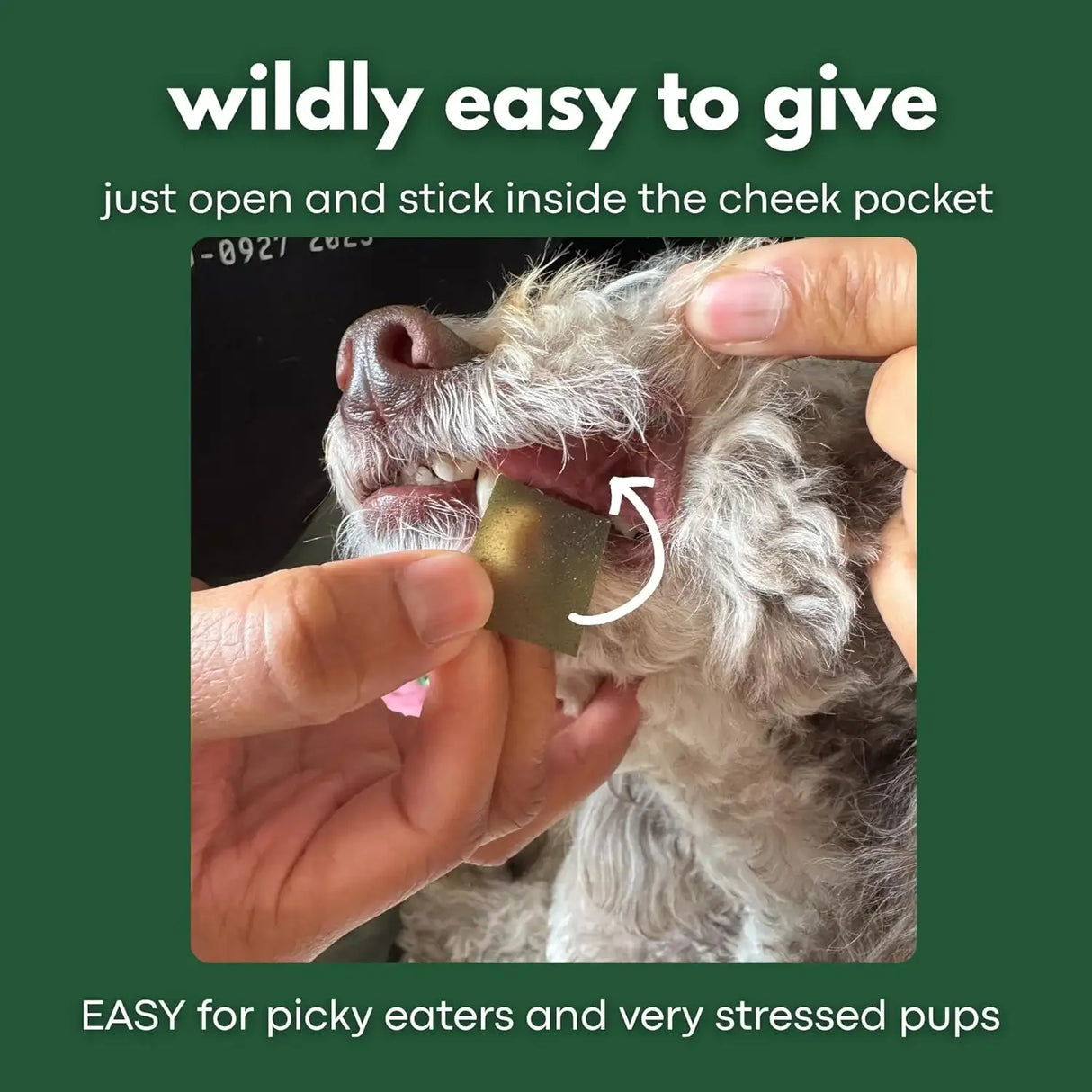 ZENMELTS - ZenMelts Dogs Anxiety Relief Calming 30 Strips - The Red Vitamin MX - Relajantes Para Perros - {{ shop.shopifyCountryName }}