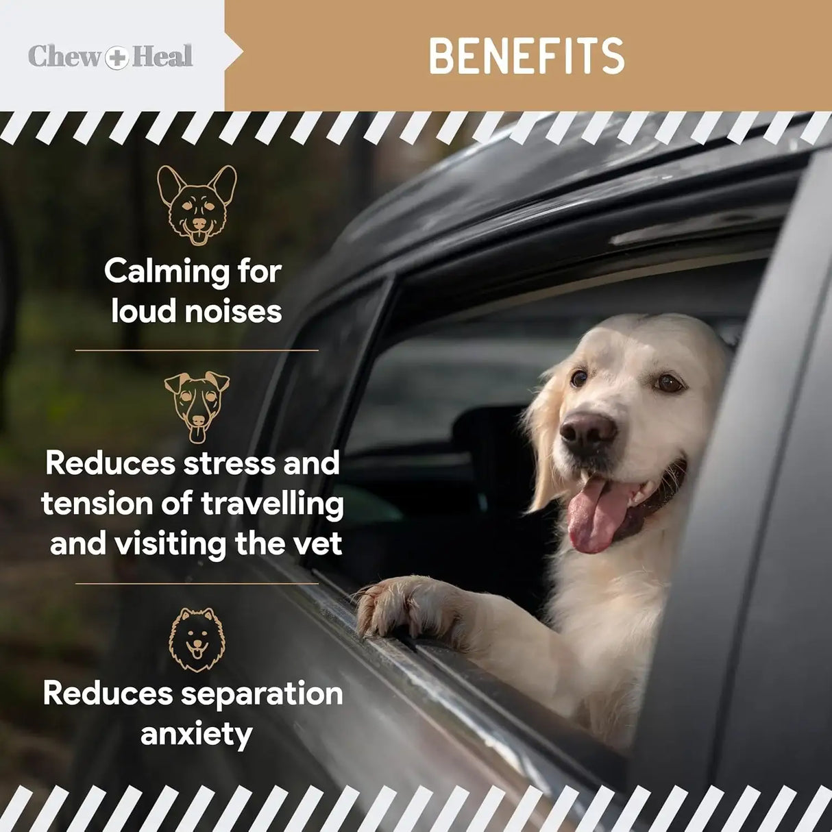 CHEW + HEAL - Chew + Heal Labs Calming Chews for Dogs Peanut Butter 30 Masticables - The Red Vitamin MX - Relajantes Para Perros - {{ shop.shopifyCountryName }}