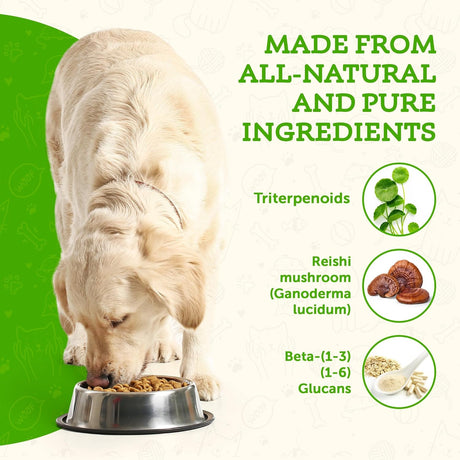 ANIMAL ESSENTIALS - Animal Essentials LONGEVITY Reishi Mushroom 50Gr. - The Red Vitamin MX - Suplementos Herbales Para Perros - {{ shop.shopifyCountryName }}