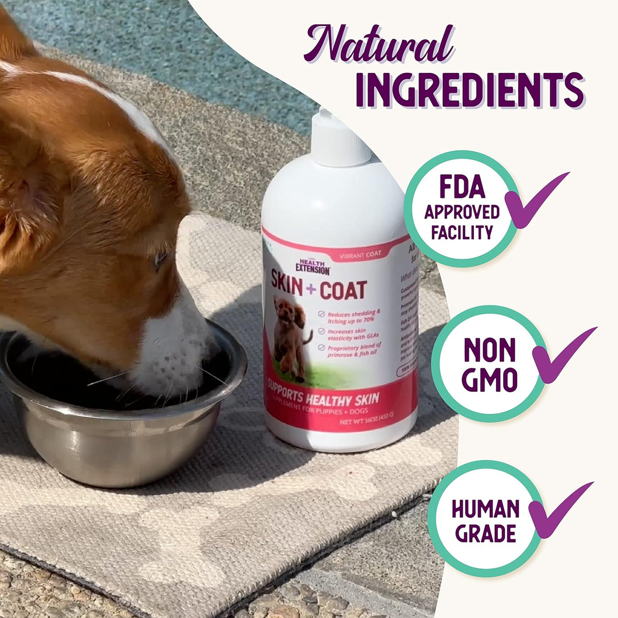 Health Extension Skin & Coat Supplement for Dogs 16 Oz.