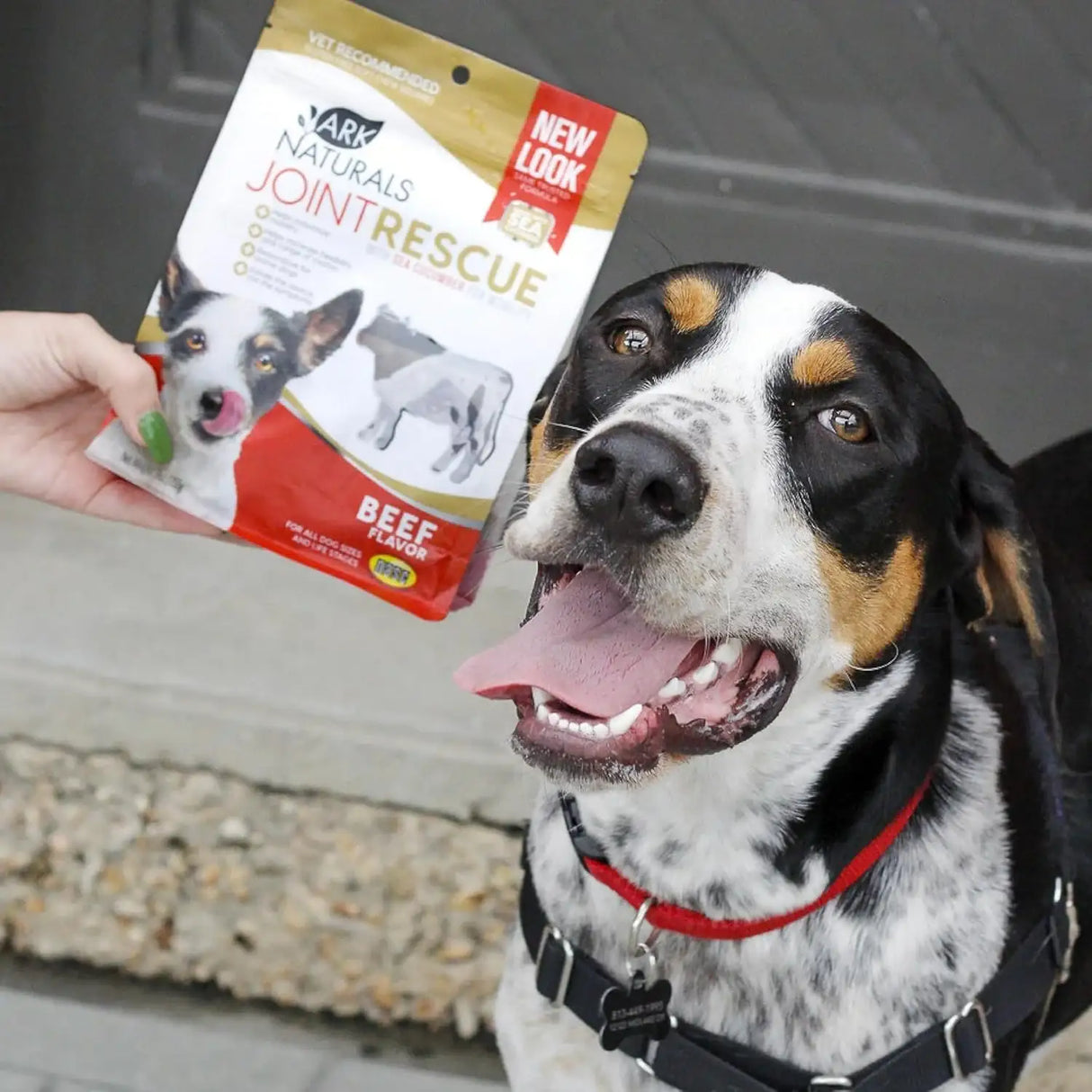 ARK NATURALS - Ark Naturals Joint Rescue Dog Chew Beef Flavor 9 Oz. - The Red Vitamin MX - Cuidado De Cadera Y Articulaciones Para Perros - {{ shop.shopifyCountryName }}